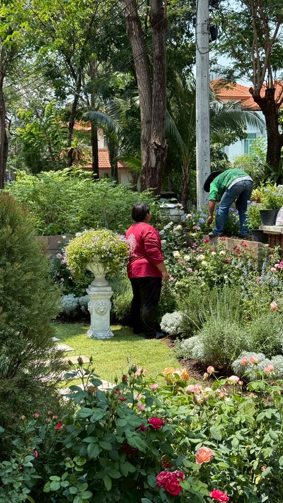 nontaburi_2 project detail 17